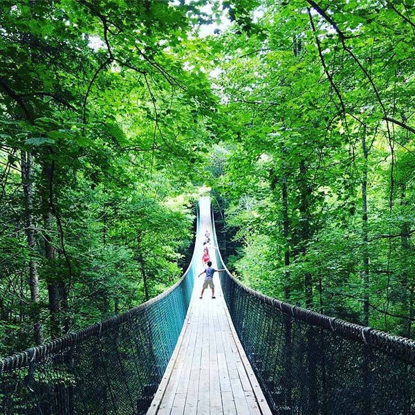 Smoky Mountain Adventure- Firefox