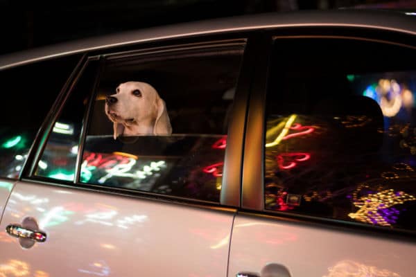 Christmas Lights Tour