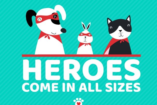 The Greater Birmingham Humane Society Animal Heroes Camp 2023