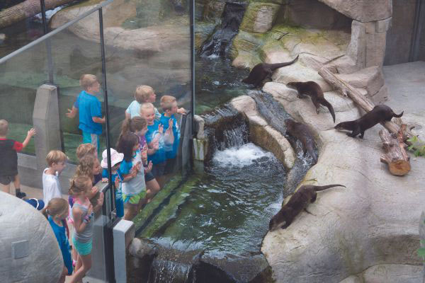 Tennessee Aquarium 1