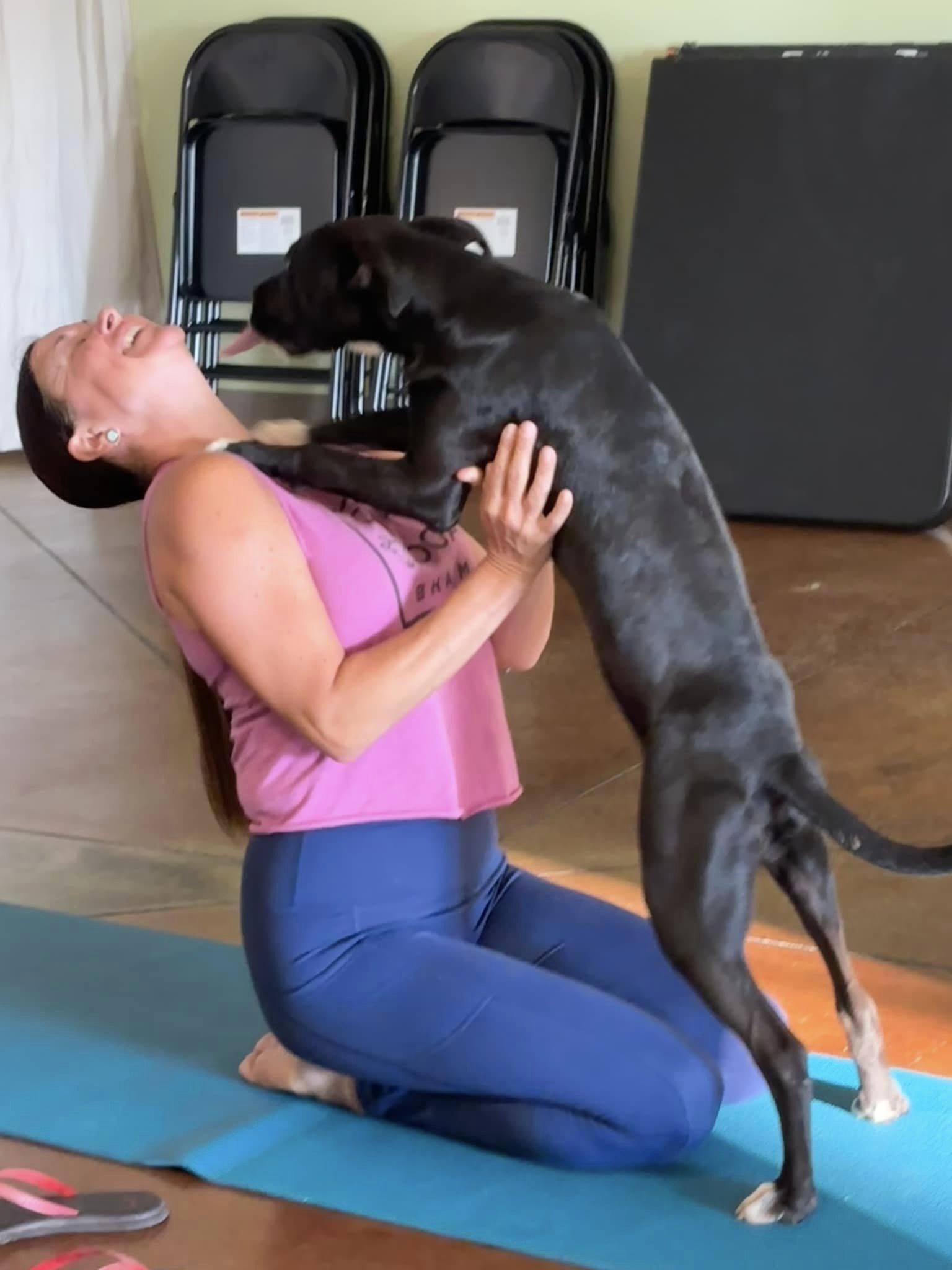 puppy yoga 2 Q3LKiY.tmp