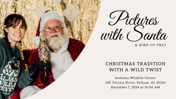 Alabama Wildlife Pictures with Santa