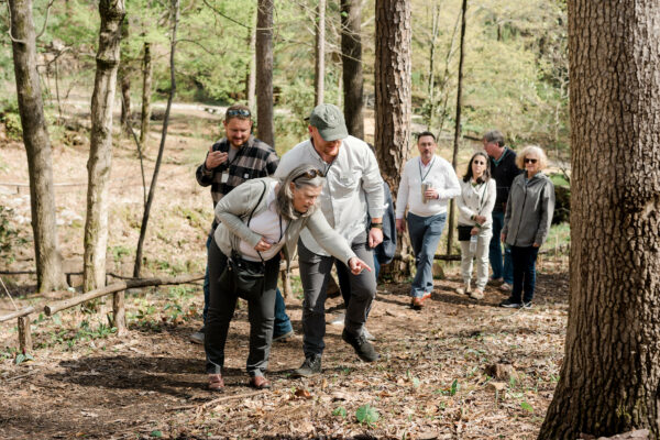 Spring Wildflower Walk JN67Ah.tmp ZRBIdz.tmp