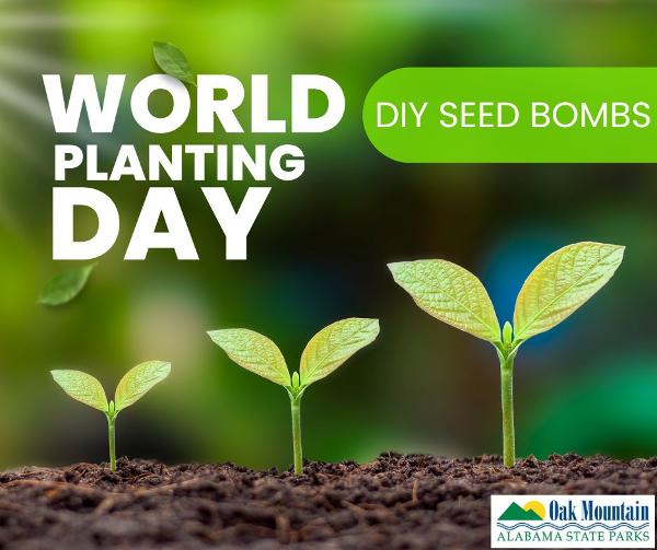 world planting day
