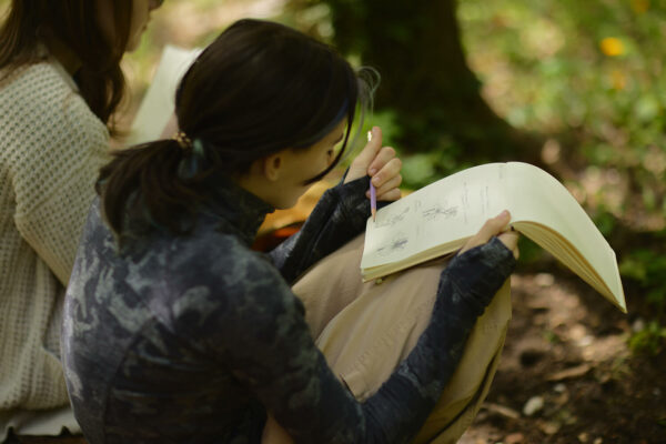 Field Journaling FARbN2