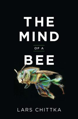 Mind of A Bee s38b7y