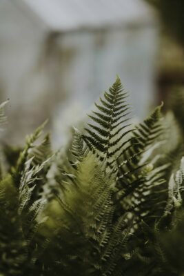 annie spratt LPiGdDTjn c unsplash 1 wHpbSc