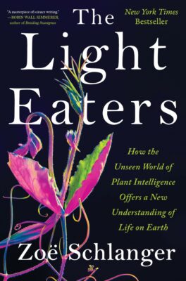 Light Eaters d1nTDu